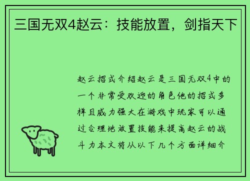 三国无双4赵云：技能放置，剑指天下