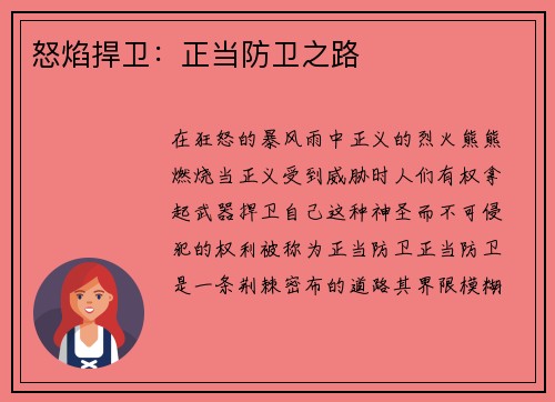 怒焰捍卫：正当防卫之路